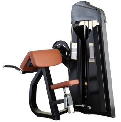 Equipamento de fitness profissional do ginásio sentado Máquina do bíceps para treino de força
