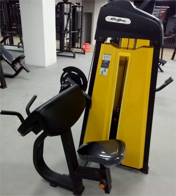 Equipamento de fitness profissional do ginásio sentado Máquina do bíceps para treino de força