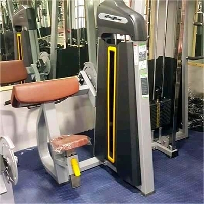 Equipamento de fitness profissional do ginásio sentado Máquina do bíceps para treino de força