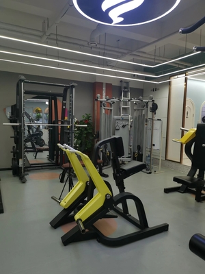 Equipamento de ginástica em casa Prensa de ombro personalizada para padrões elevados