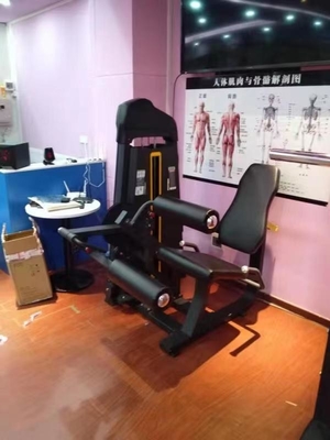 Equipamento de exercícios em casa do ginásio 2 em 1 máquina de curva de extensão de pernas sentada para fisiculturismo