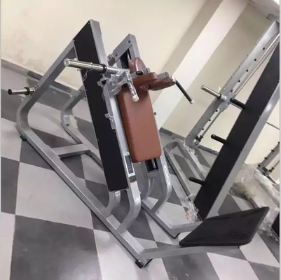 Outras capacidades Equipamento de ginástica Máquina de agachamento hack com cor de quadro selecionável opcional
