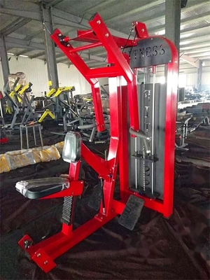 Indoor Sport Steel Pin Load Selection Back Extension Seated Row Machine para Commercial