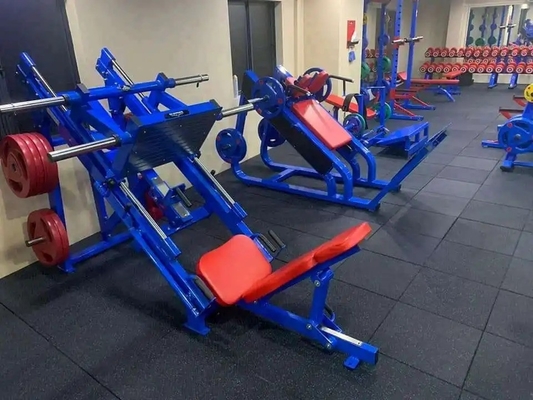 2230*1630*1270 Máquina de Extensão de Pernas para Bancada A adição perfeita ao seu ginásio