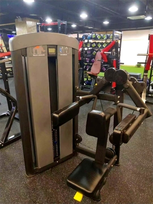 Treinamento Biceps em casa com uma máquina de exercícios de levantamento lateral sentado
