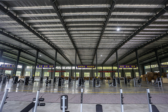 Equipamento de ginástica Meio carregador lateral Máquina de linha baixa para treino de aptidão e força