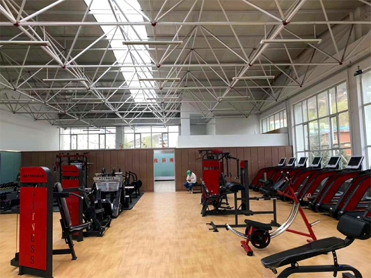 Máquina de extensão de espinha de aço para treinamento de força Equipamento de fitness