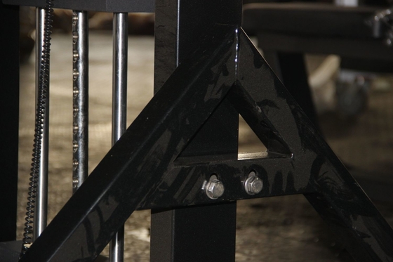 Máquina de extensão de espinha de aço para treinamento de força Equipamento de fitness