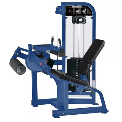 Máquina de pernas sentadas para treinamento de força Bodybuilding Fitness Equipamento de ginástica de aço