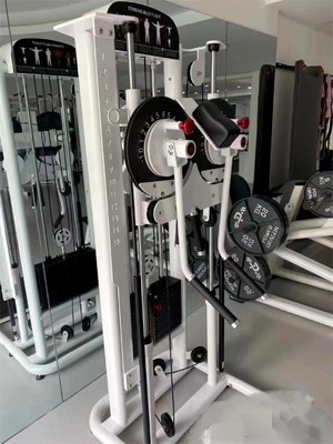 Maximizar seus ganhos de pé Multi-Vôo lateral de elevação para casa exercício comercial