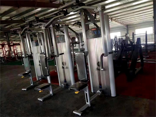 2020 Design Commercial Rear Delt Pec Fly Machine com cor opcional selecionável do quadro