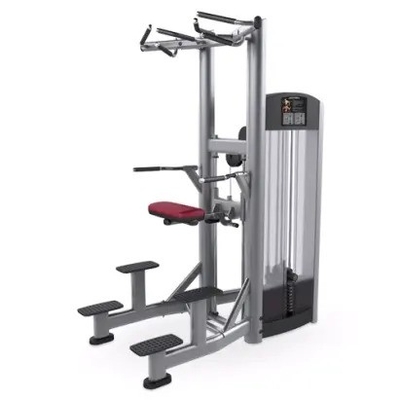 Treinamento de Força Pin Carregado Pull Up Bar Triceps Deltoides Treinamento máquina de mergulho