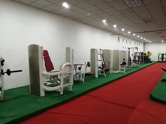 Equipamento de ginástica comercial Treinador abdominal carregado com alfinete Máquina de extensão de costas ajustável