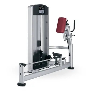Máquina de Glute do Kickback A adição perfeita ao seu treino de força do ginásio