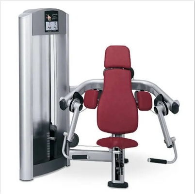 Equipamento de ginástica comercial Melhor Biceps Curl Machine com logotipo personalizado Disponível
