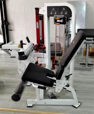 Treinamento de Força de Aço 2 em 1 Função Dupla Curl de Perna Assentada Ajustável para Equipamentos de Ginásio