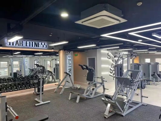 Home Exercício Comercial Peito Mosca e Máquina Delt traseira 1540 * 1790 * 1480 mm Dimensões