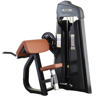 Equipamento de ginástica de treinamento de força comercial Máquina de bicep curl com design personalizado