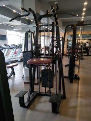 Máquina Assistida de Chin Up Bar Chest Shoulder Workout Dip/Chin Assist para treinamento de força