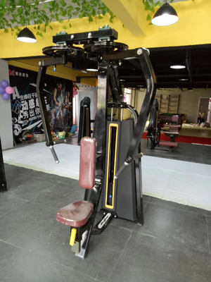Logotipo personalizado Disponível equipamento de ginástica Pec Fly Pearl Delt Machine para no centro de ginástica
