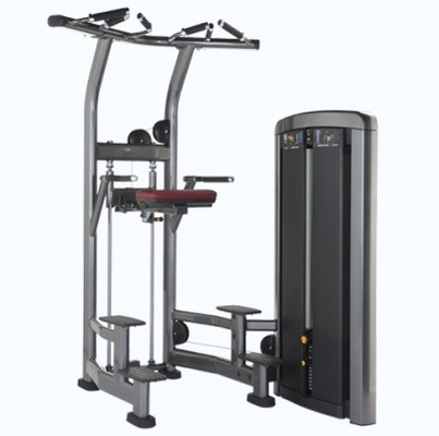 Pin de aço carregado Pull Up Bar Triceps Deltoids Workout Assisted Chin Dip Machine para aço