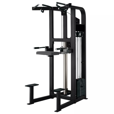 Logotipo personalizado Pin Carregado Fitness Selecionado Assistir Dip Chin Machine para fisiculturismo 262KG