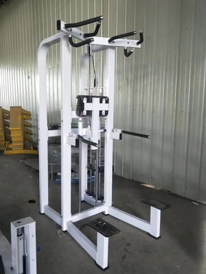 Logotipo personalizado Pin Carregado Fitness Selecionado Assistir Dip Chin Machine para fisiculturismo 262KG