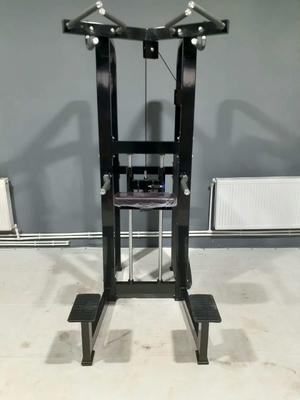 Logotipo personalizado Pin Carregado Fitness Selecionado Assistir Dip Chin Machine para fisiculturismo 262KG