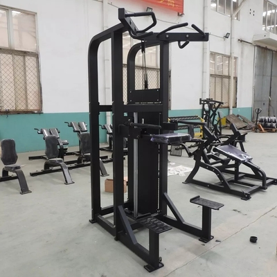 Logotipo personalizado Pin Carregado Fitness Selecionado Assistir Dip Chin Machine para fisiculturismo 262KG