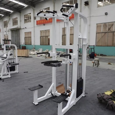 Logotipo personalizado Pin Carregado Fitness Selecionado Assistir Dip Chin Machine para fisiculturismo 262KG