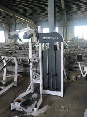 Logotipo personalizado Gym Equipamento de fitness profissional Máquina de elevação lateral carregada com alfinete