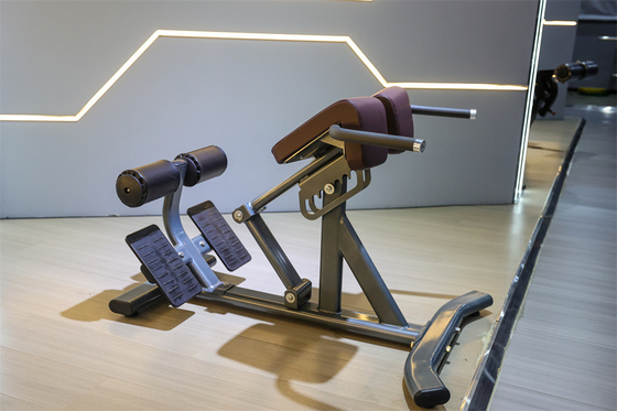 Equipamento de fitness comercial Cadeira romana com 1360*790*880 quadros metálicos