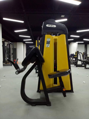 1380*930*1580 Commercial Strength Machine Camber Curl para equipamentos de ginástica por Befreeman