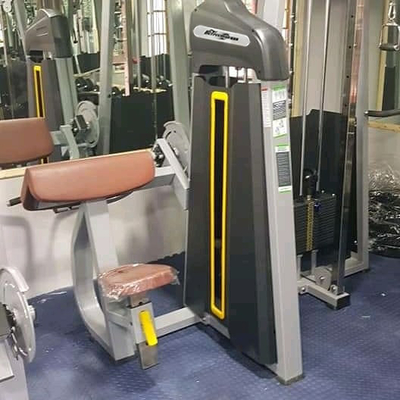 1380*930*1580 Commercial Strength Machine Camber Curl para equipamentos de ginástica por Befreeman