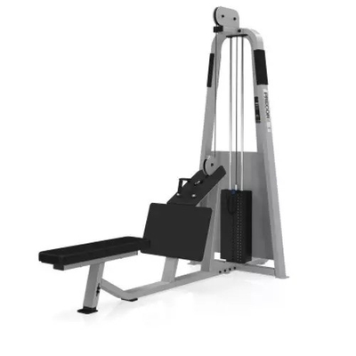 Opcional Cor Selecionável de Quadro Befreeman Gym Sentado em fileira baixa para treinamento de força