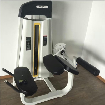 Experimente o poder da máquina de curva de pernas na academia Befreeman Indoor