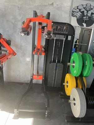 Centro de ginástica em pé Calf elevar máquina de aço fisiculturismo em Befreeman