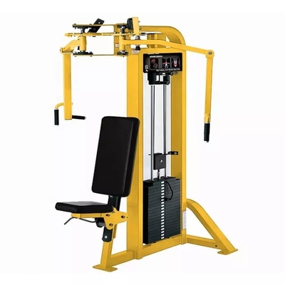 Máquina de Mosca Deltoide traseira de cor de quadro personalizável para equipamentos de treinamento de força em casa