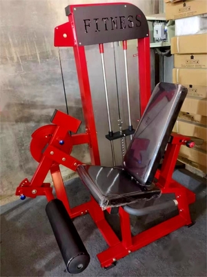 Equipamento de fitness interior Extensão de costas ajustável com carga média 1170*910*1630MM