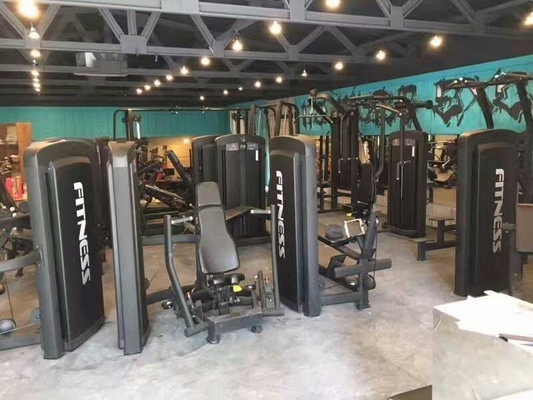 Máquina de enrolar bíceps de carregador médio de aço comercial para ginásio, clube de ginástica e construção corporal universal