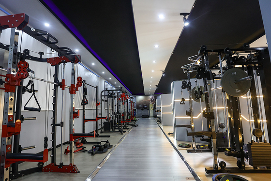 248 kg Máquina de exercícios abdominais de aço para centro de fitness pesado