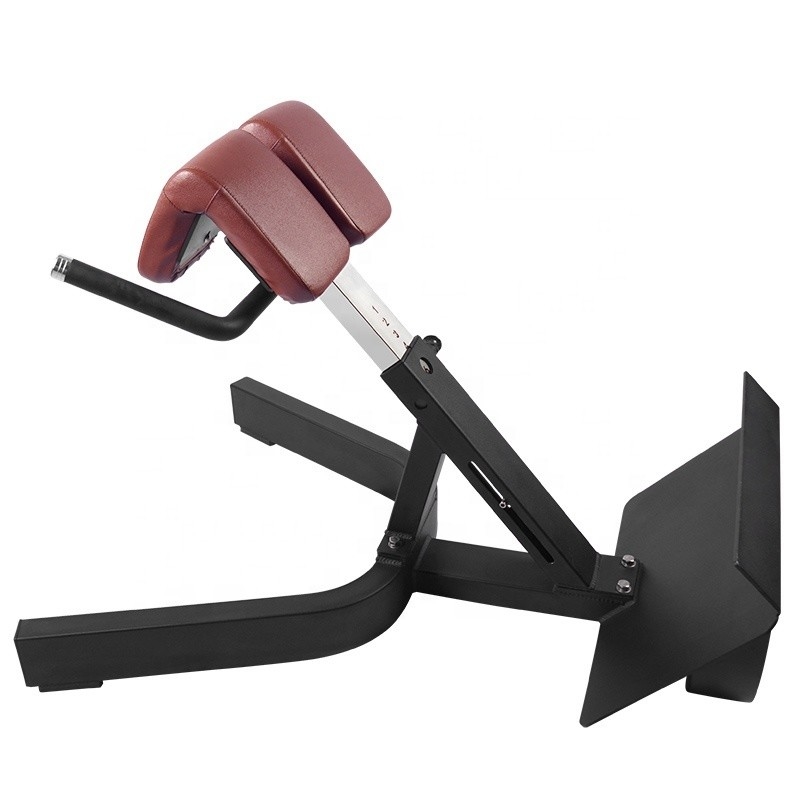Treinamento de Força Multifuncional Braço Curl Back Extension Bench Cadeira Romana para Unisex