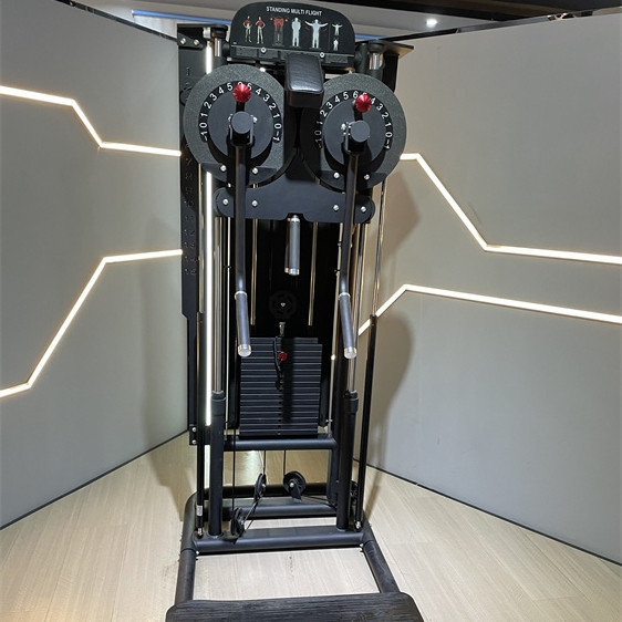 Equipamento de ginástica comercial de aço Máquinas carregadas com alfinetes Elevação de ombro Levantamento lateral em pé 2150*1430*1580