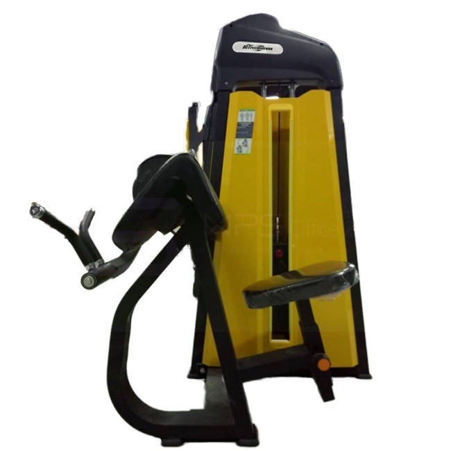 1380*930*1580 Commercial Strength Machine Camber Curl para equipamentos de ginástica por Befreeman